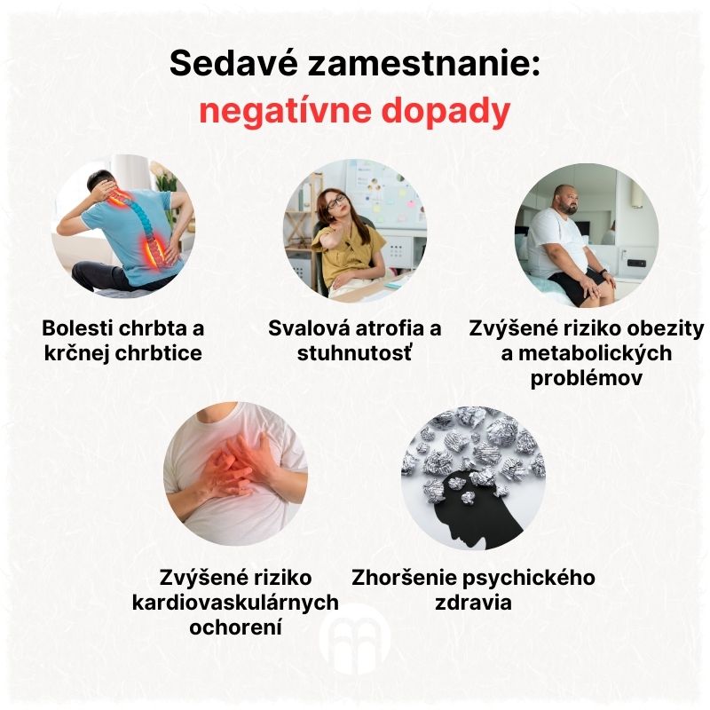 (Slovenčina) Sedavé zaměstnání - negativní dopady